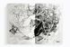 Маньхва Книгарня, в якій причаївся лев. Том 1